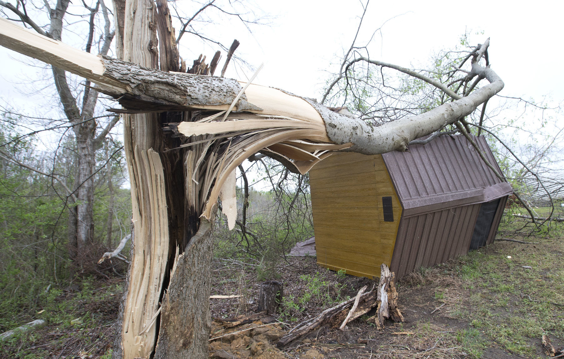 Tornado Aftermath